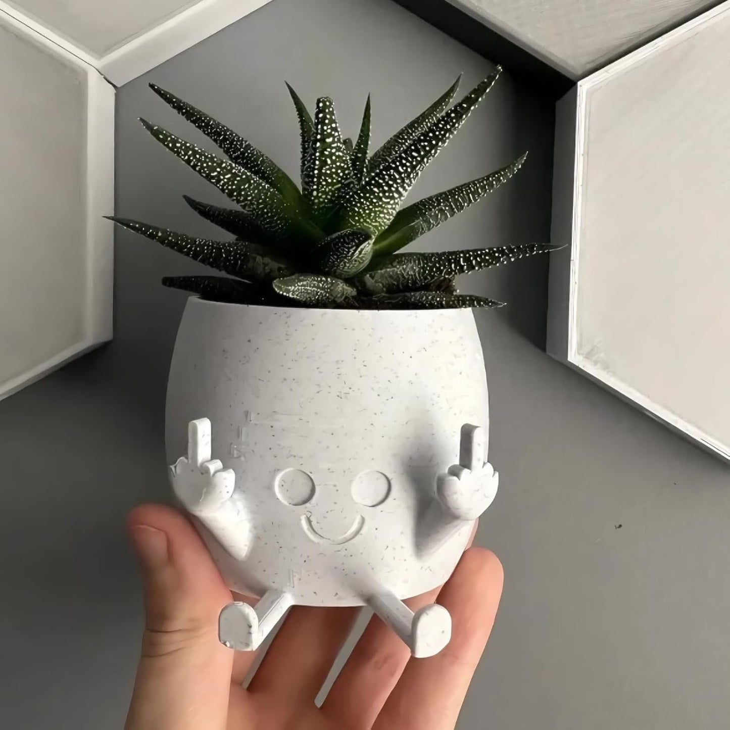 Quirky White Resin Smiling Planter with Middle Fingers – Fun Indoor & Outdoor Pot for Succulents and Small Plants, Perfect Gift for Plant Lovers"