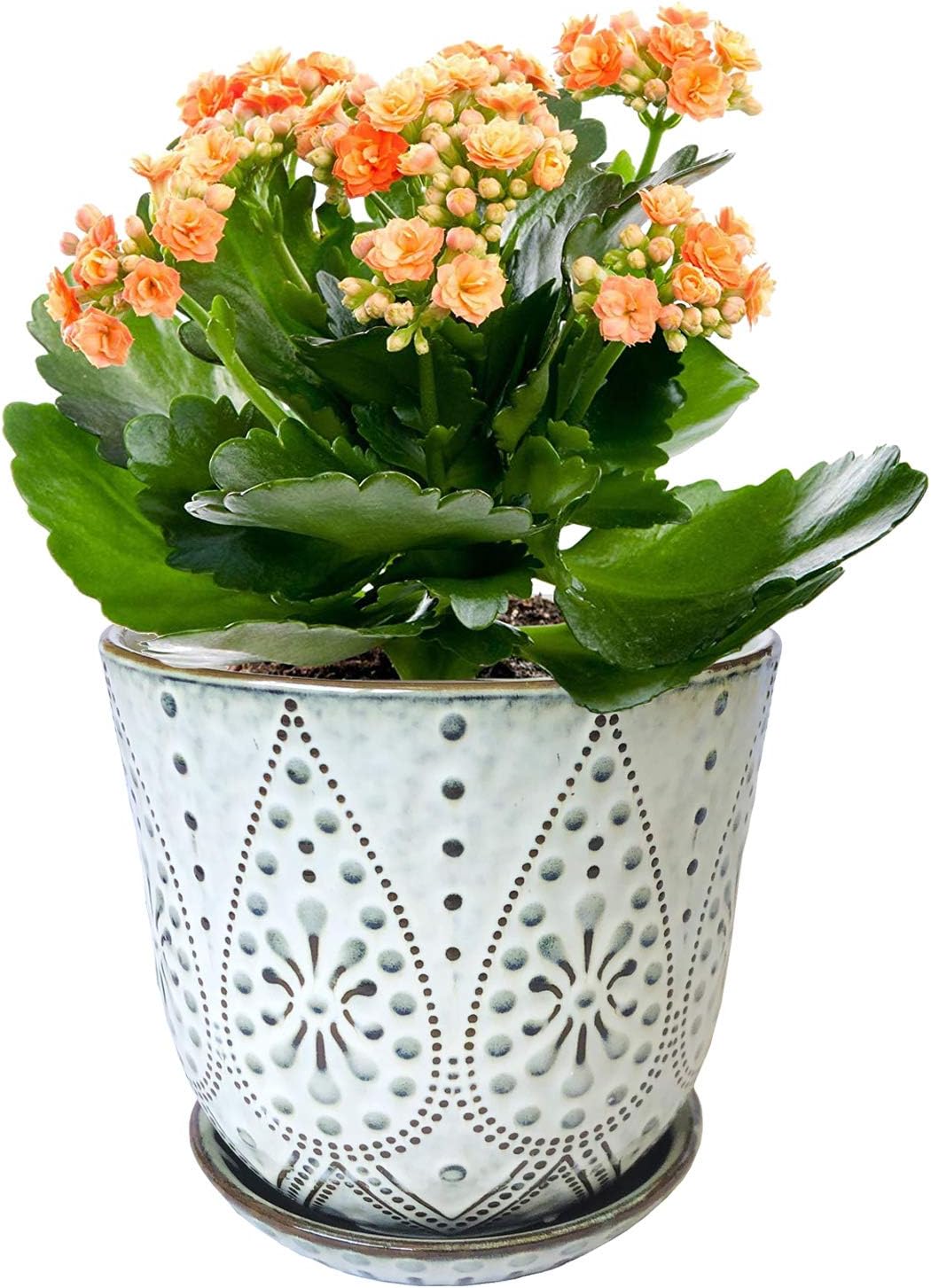 6 Inch Beaded Ceramic Planter Set of 2 with Drainage Hole and Saucer for Plants, Indoor-Outdoor Large Round Succulent Orchid Flower Pot