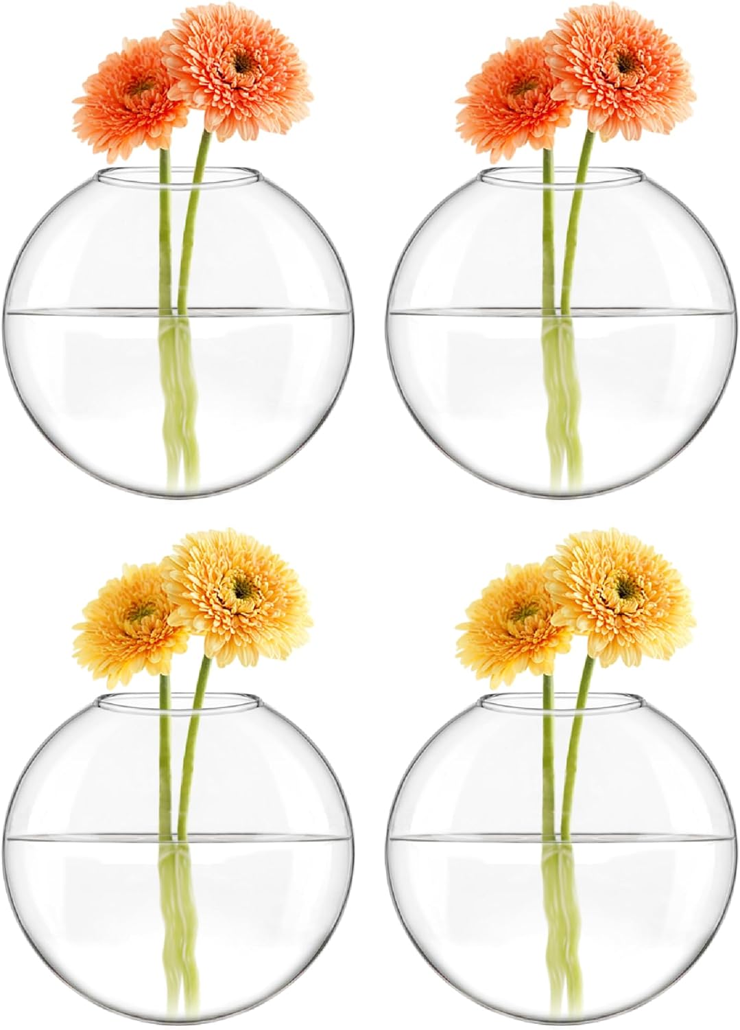 Wall Hanging Glass Terrariums Planter Oblate Flower Vase for Hydroponics Plants, Bathroom, Home Office Living Room Decor,