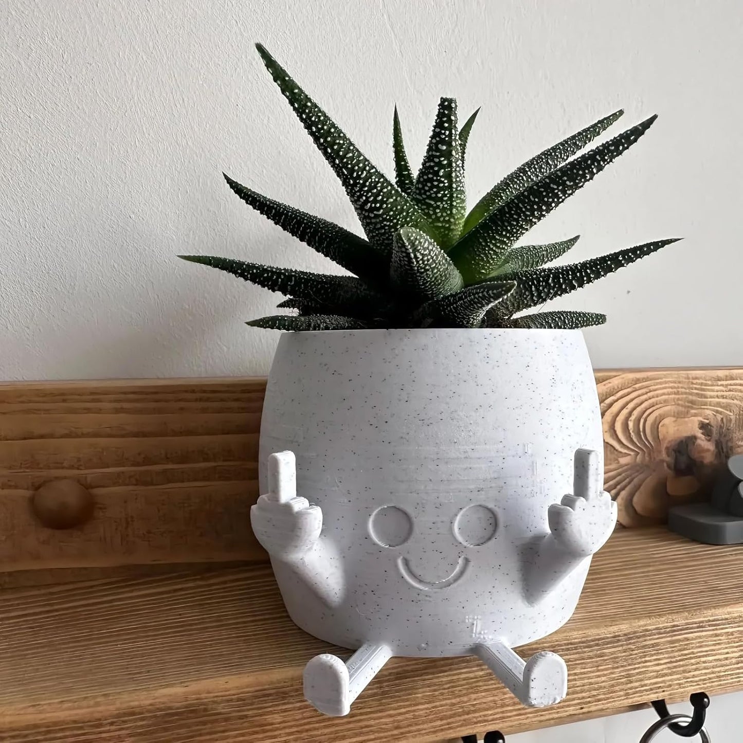 Quirky White Resin Smiling Planter with Middle Fingers – Fun Indoor & Outdoor Pot for Succulents and Small Plants, Perfect Gift for Plant Lovers"