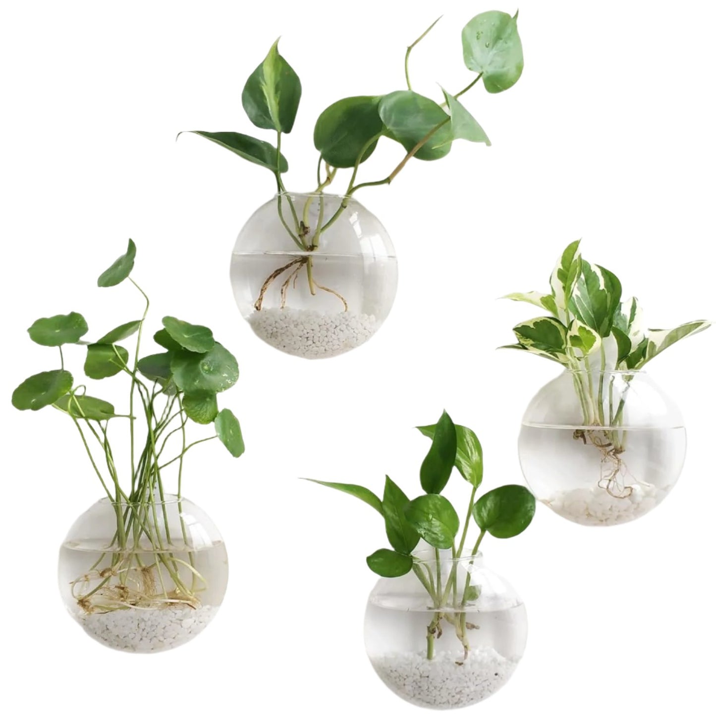 Wall Hanging Glass Terrariums Planter Oblate Flower Vase for Hydroponics Plants, Bathroom, Home Office Living Room Decor,