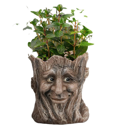 Creative Face Planter Pots - Unique Head Planters for Succulents & Flowers | Indoor & Outdoor Plant Decor | Perfect for Halloween, Easter, & Garden Style