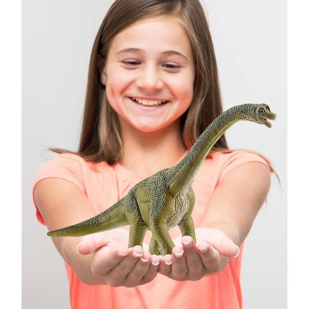 Brachiosaurus - Image 6