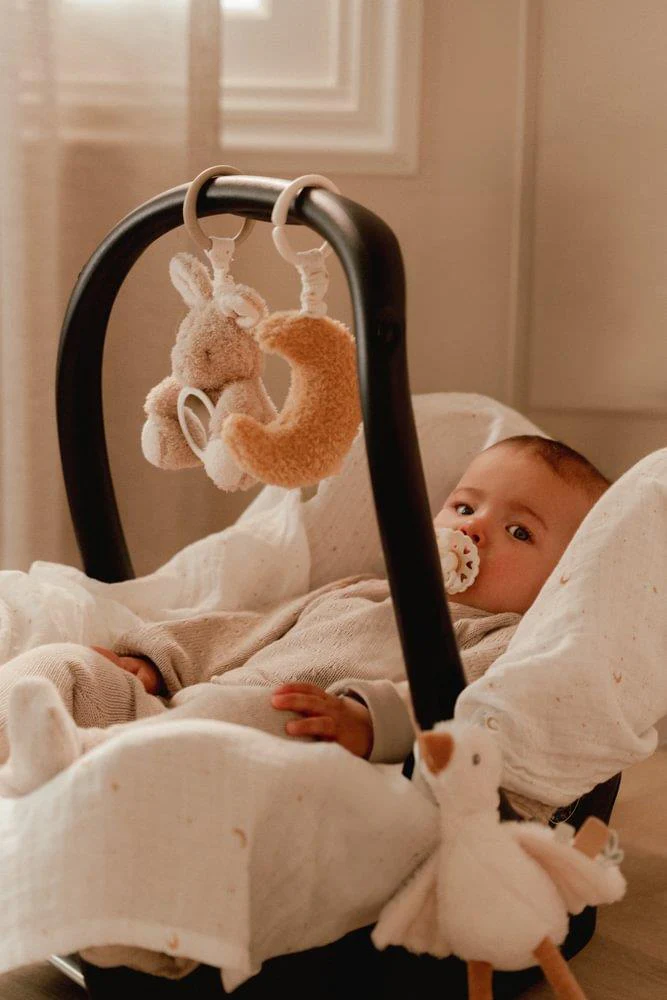 3 Peluches com Argola Little Dutch Newborn Naturals com Vibração - Image 10