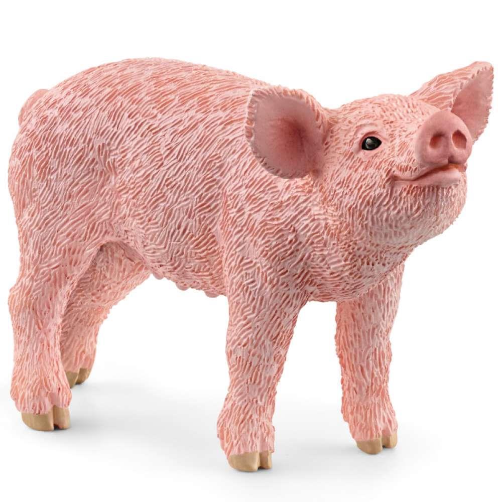 Leitão