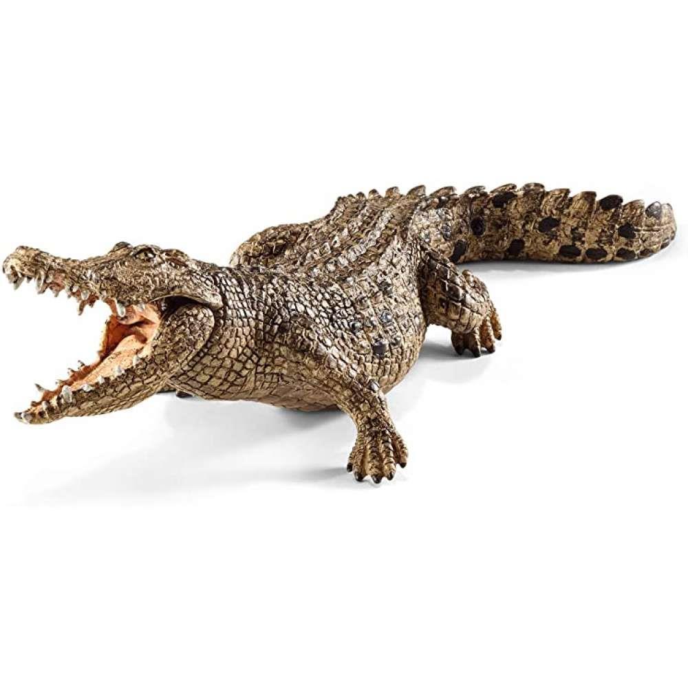 Crocodilo