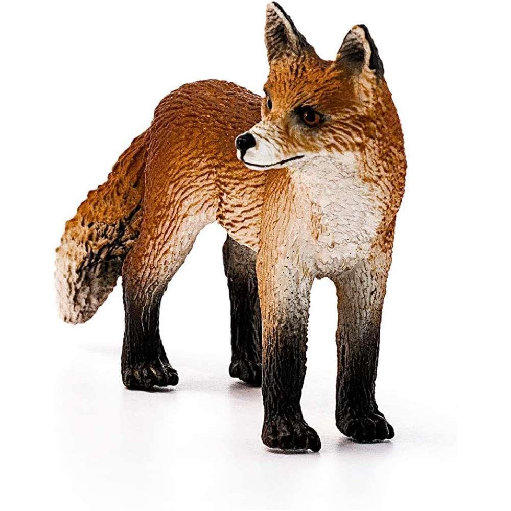 Raposa