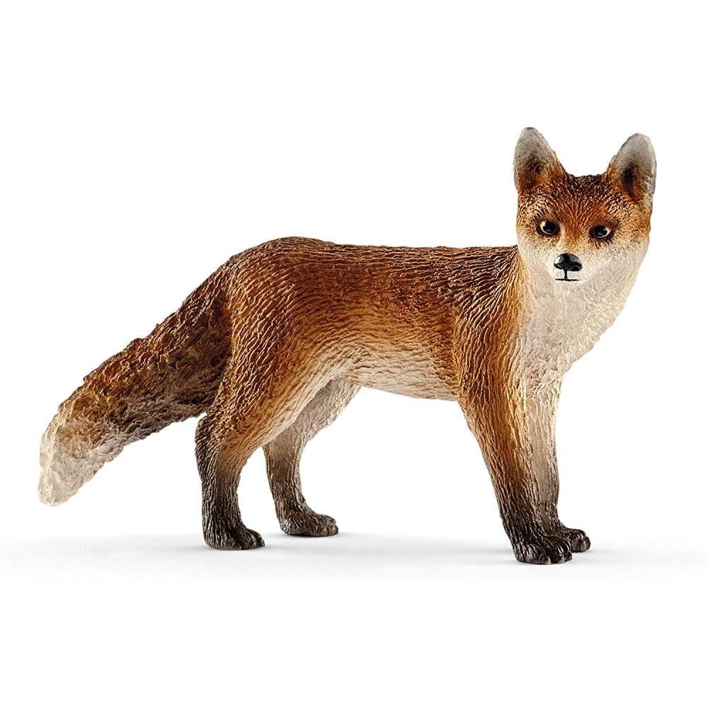 Raposa - Image 2