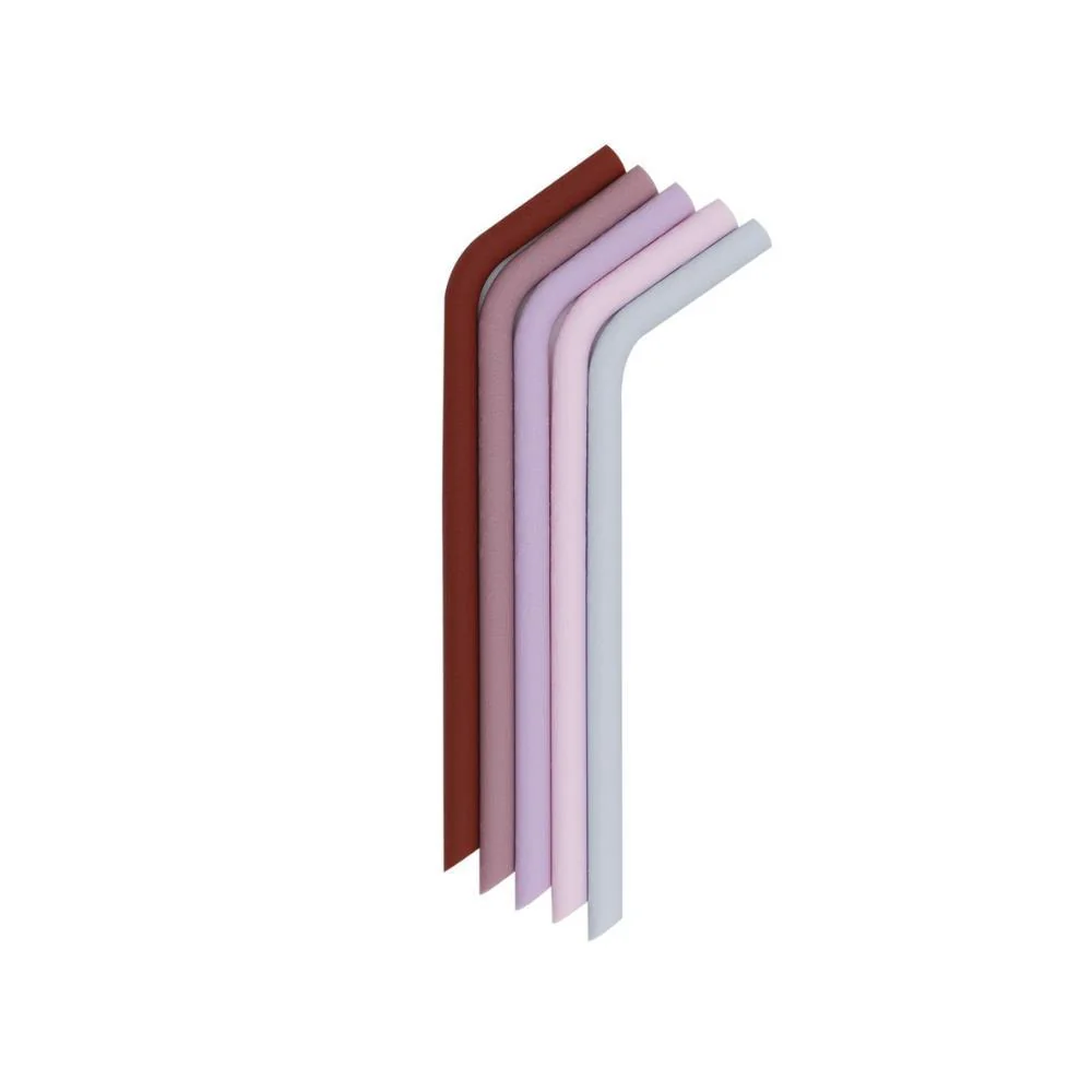 5 Palhinhas em Silicone We Might Be Tiny Earth&Bloom