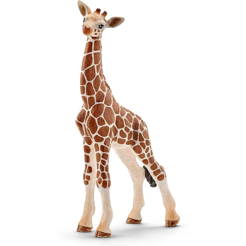 Cria de Girafa