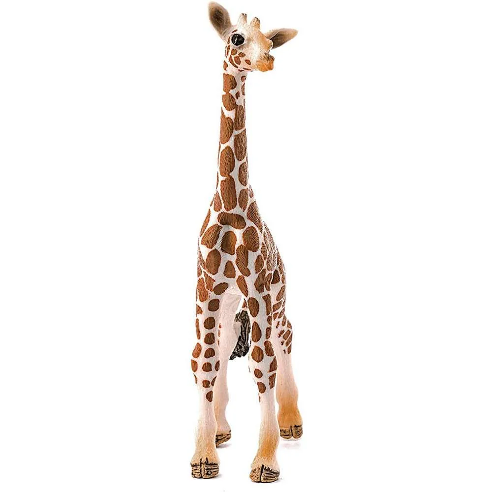 Cria de Girafa - Image 2