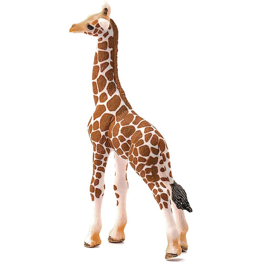 Cria de Girafa - Image 4