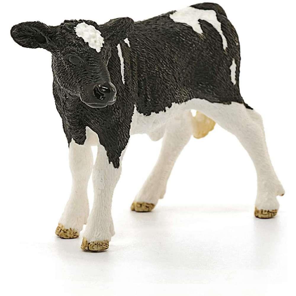Vitelo Holstein - Image 2