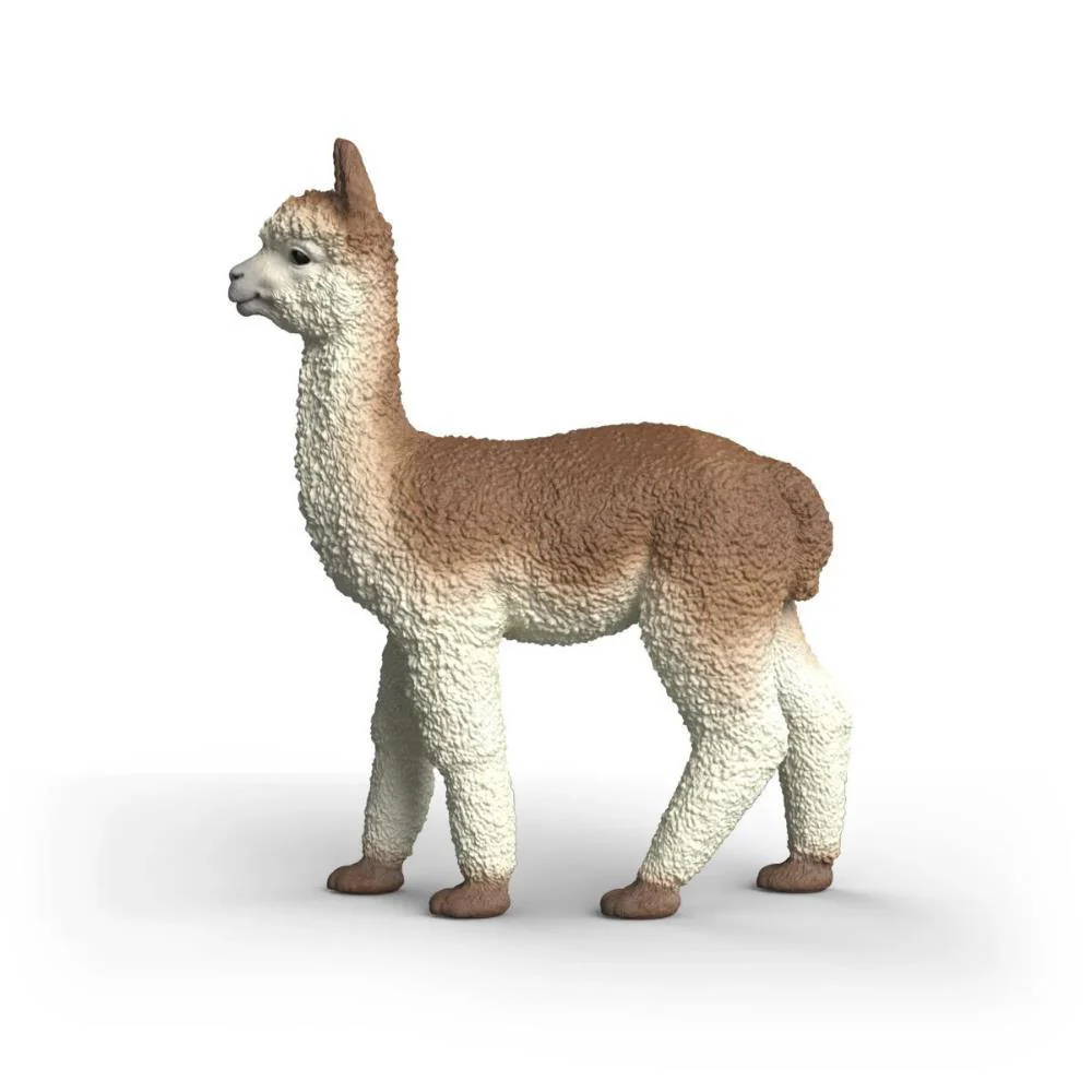 Alpaca - Image 2