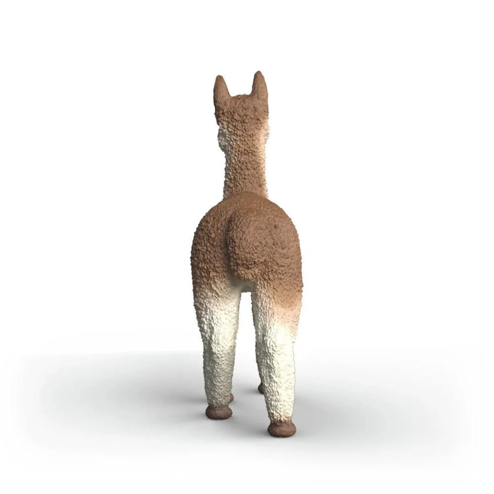 Alpaca - Image 3