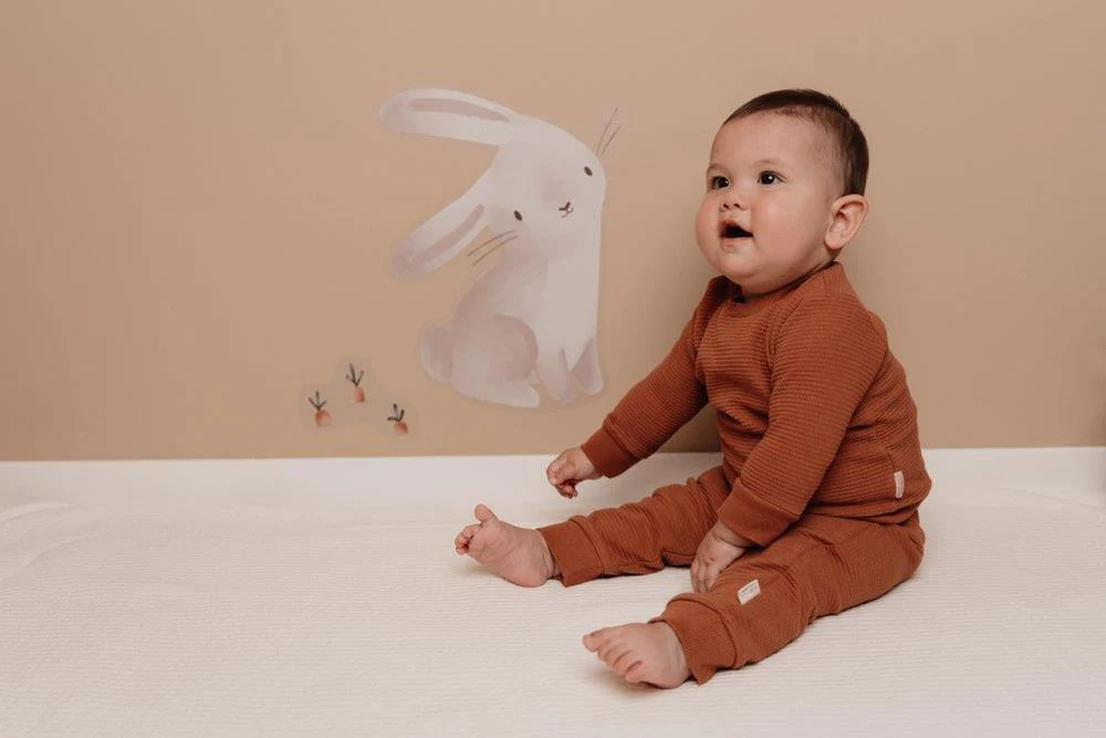 Autocolantes de Parede Little Dutch Baby Bunny - Image 5