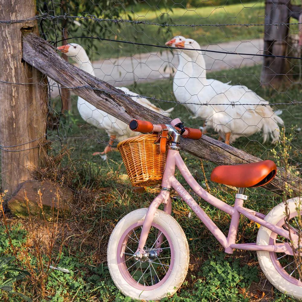 Bicicleta de Equilíbrio Banwood First Go Dusty Pink - Image 6