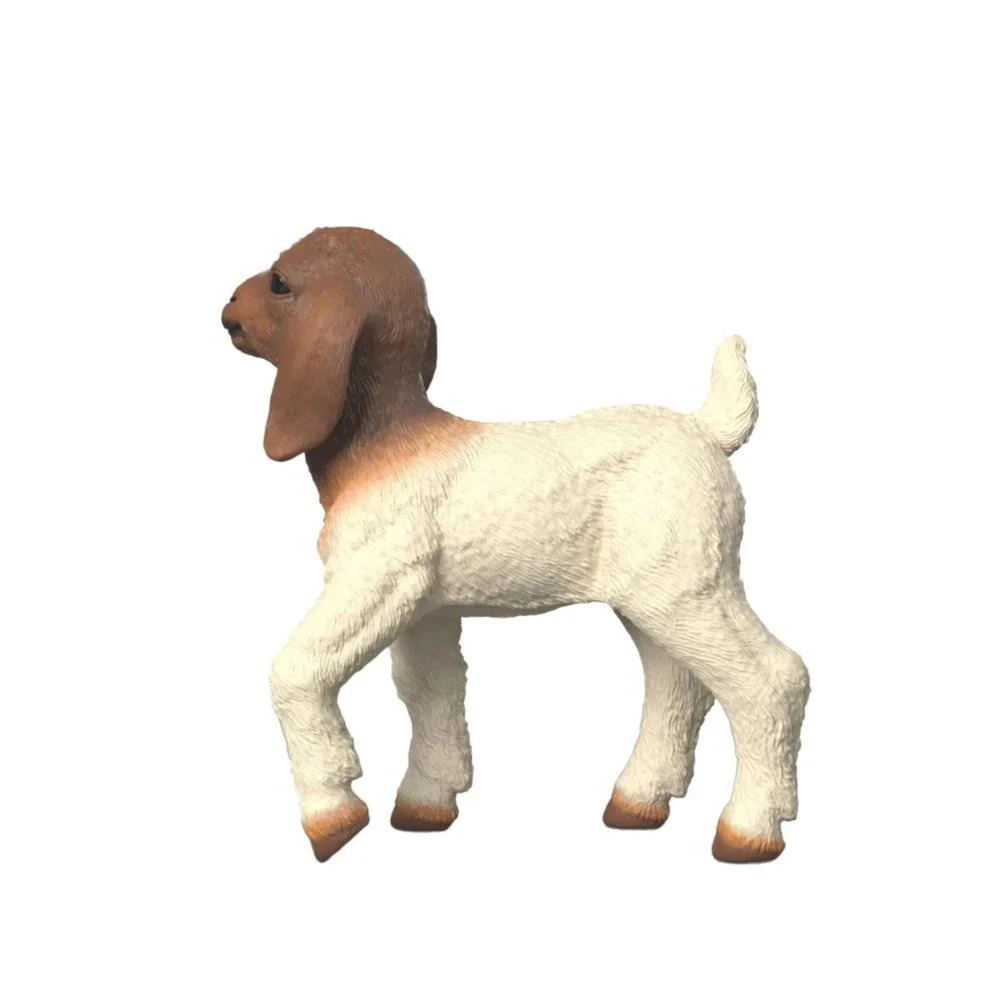 Cabra Boer Cria - Image 2