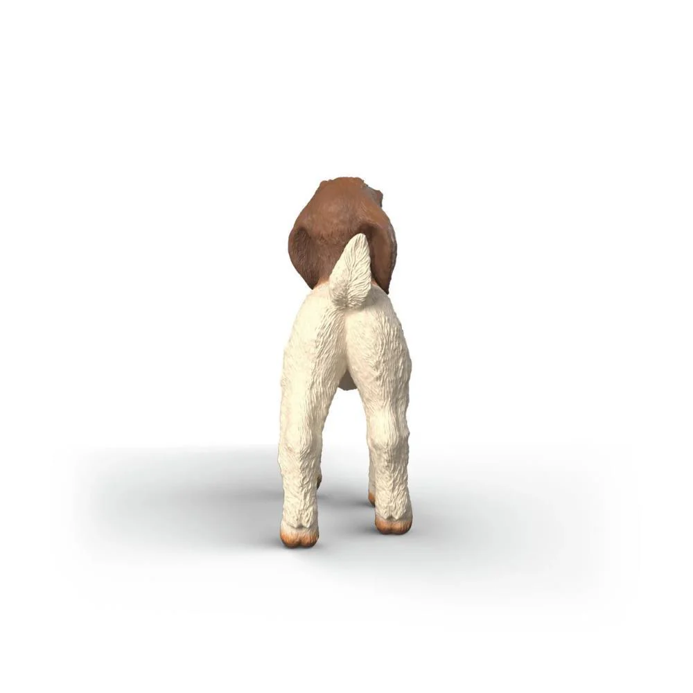 Cabra Boer Cria - Image 3