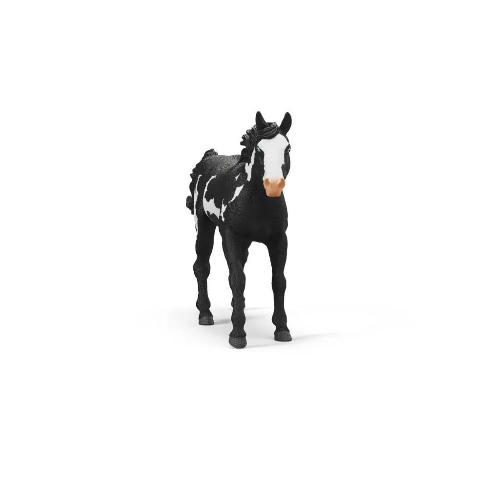 Cavalo Capão - Image 2
