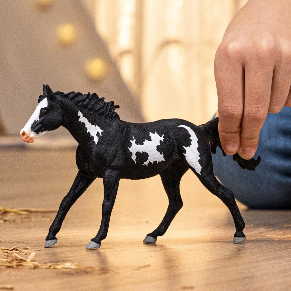Cavalo Capão - Image 3