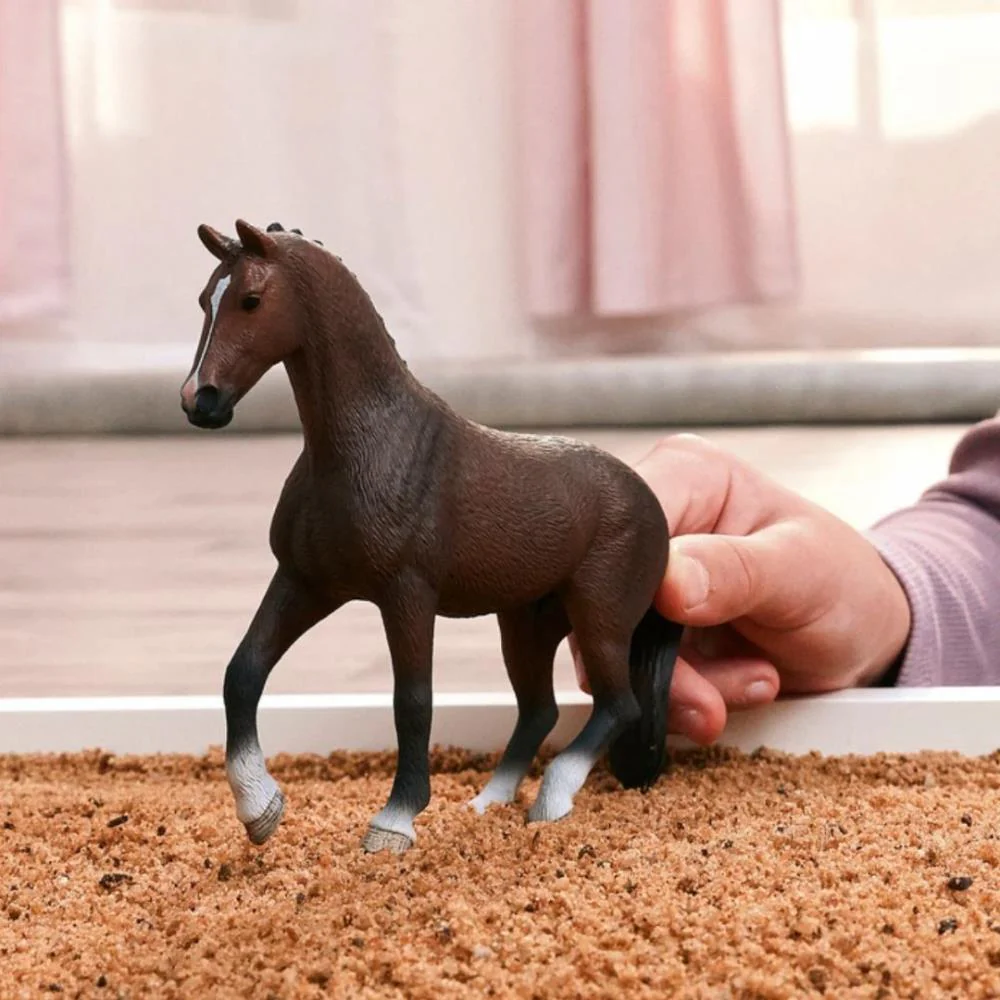 Cavalo Holandês KWPN - Image 3