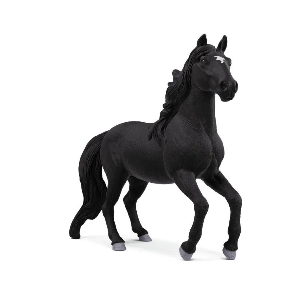Cavalo Lusitano