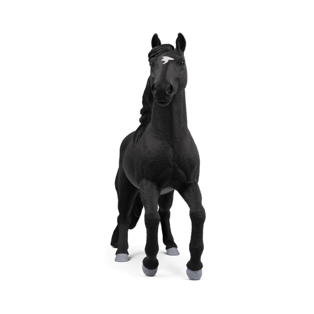 Cavalo Lusitano - Image 3