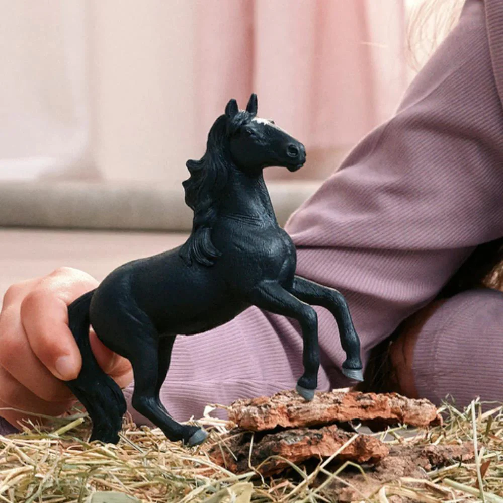 Cavalo Lusitano - Image 5