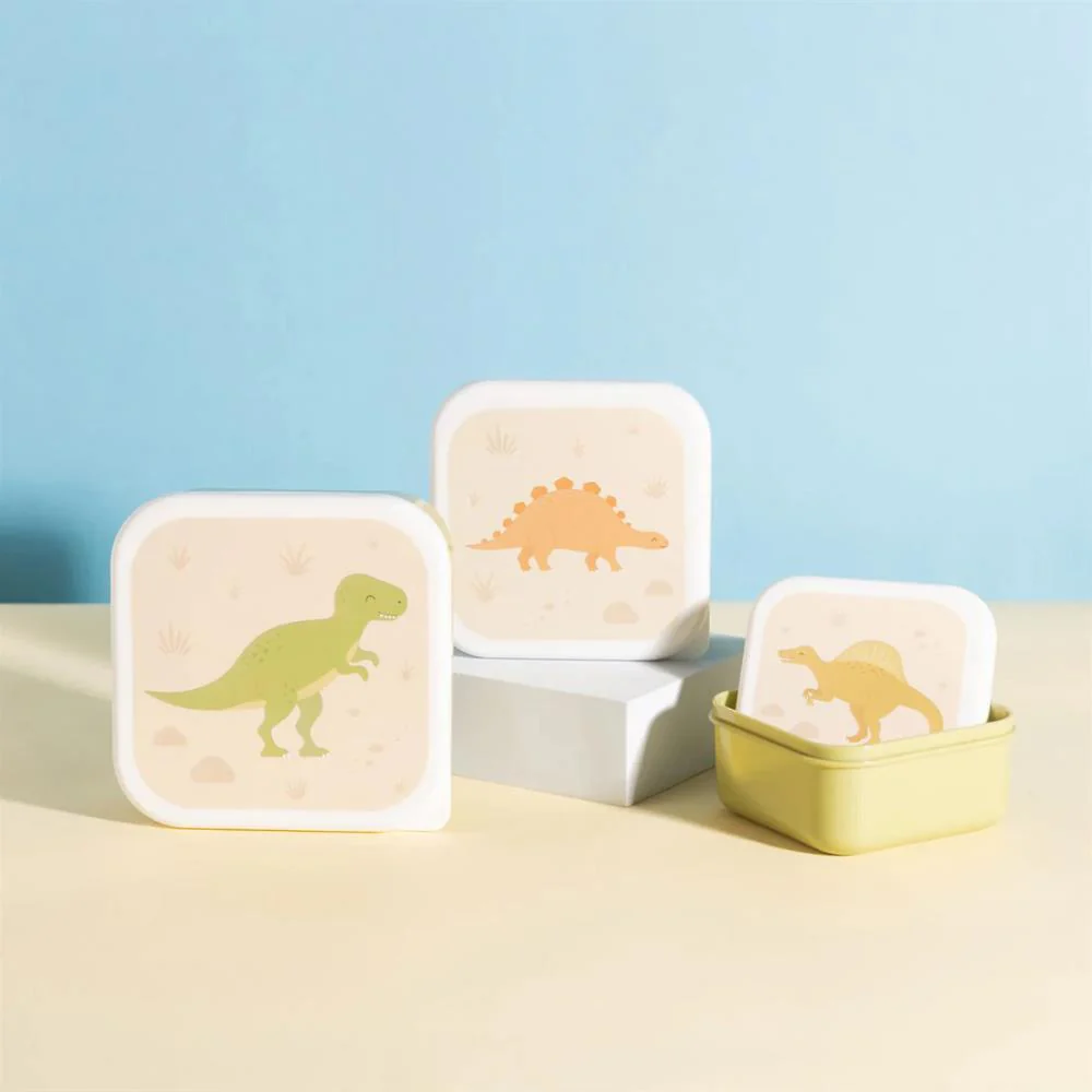 Conjunto de 3 Caixas Sass & Belle Dinossauro - Image 3