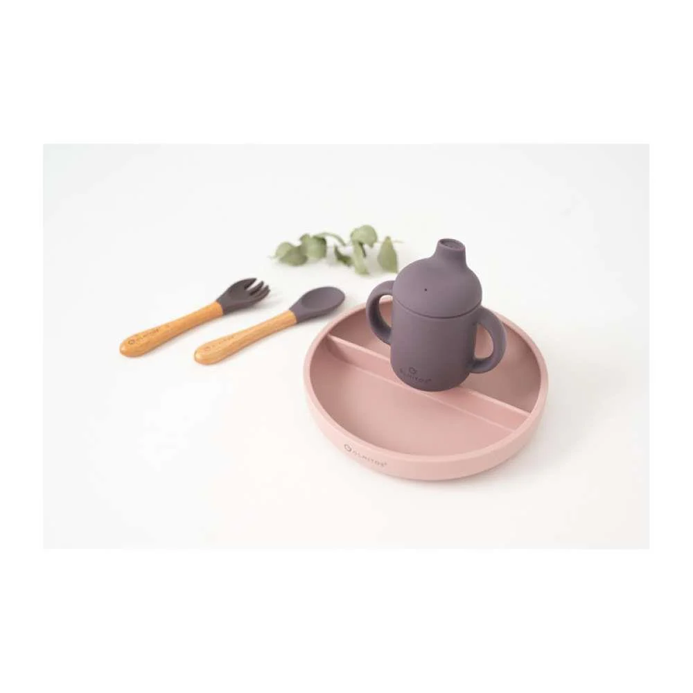 Conjunto de Alimentação com 5 Peças em Silicone Rosa - Image 3