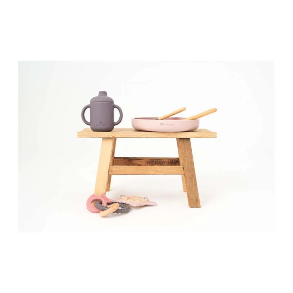 Conjunto de Alimentação com 5 Peças em Silicone Rosa - Image 5
