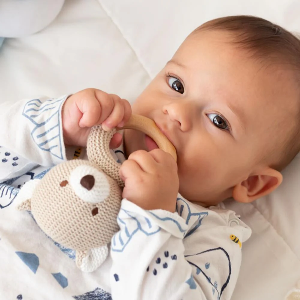 Roca Cotton Friends Urso em Algodão com Caixa 13cm - Image 3