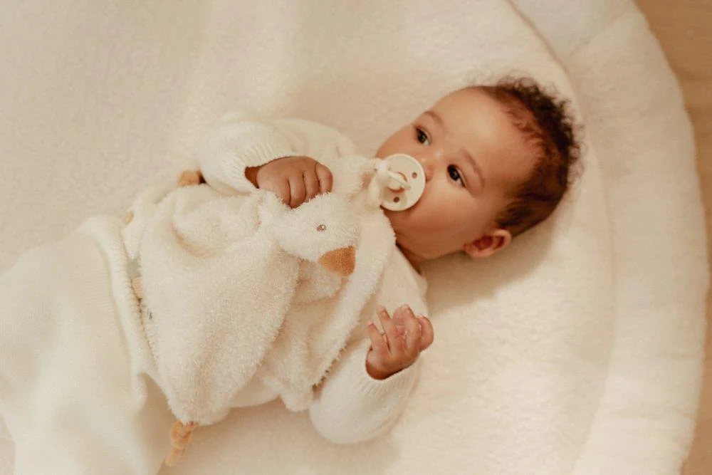 Doudou com Clip para Chupeta Little Dutch Little Goose - Image 9