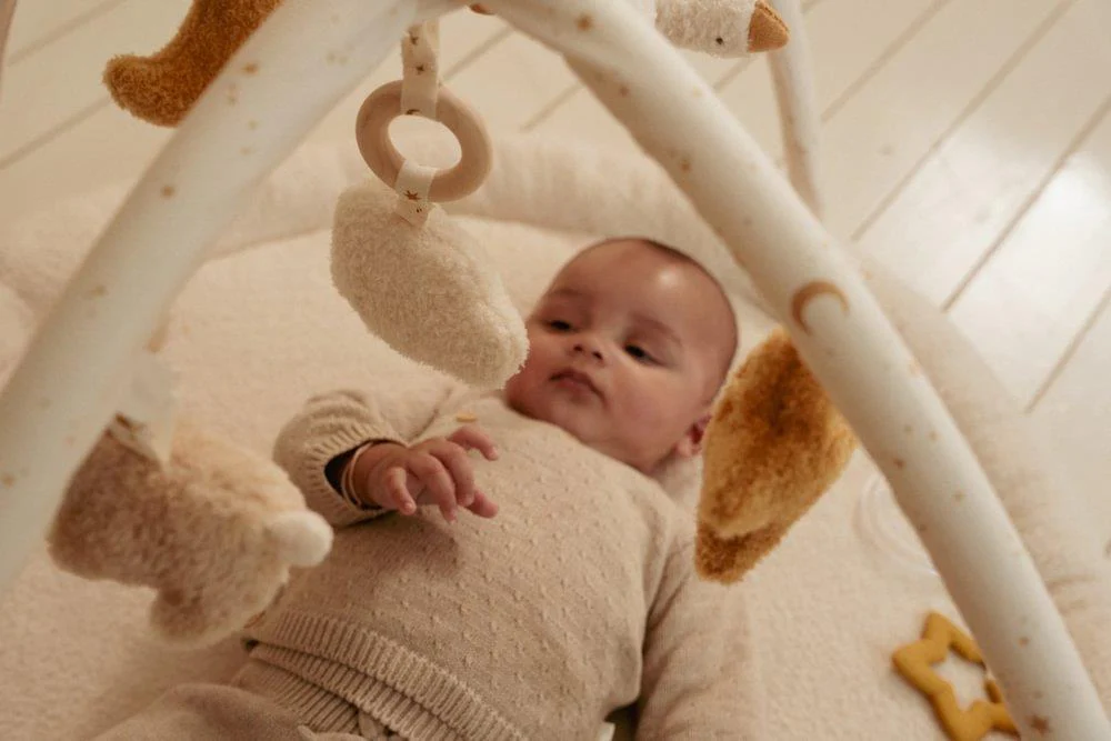 Ginásio e Tapete de Atividades Little Dutch Newborn Naturals - Image 16