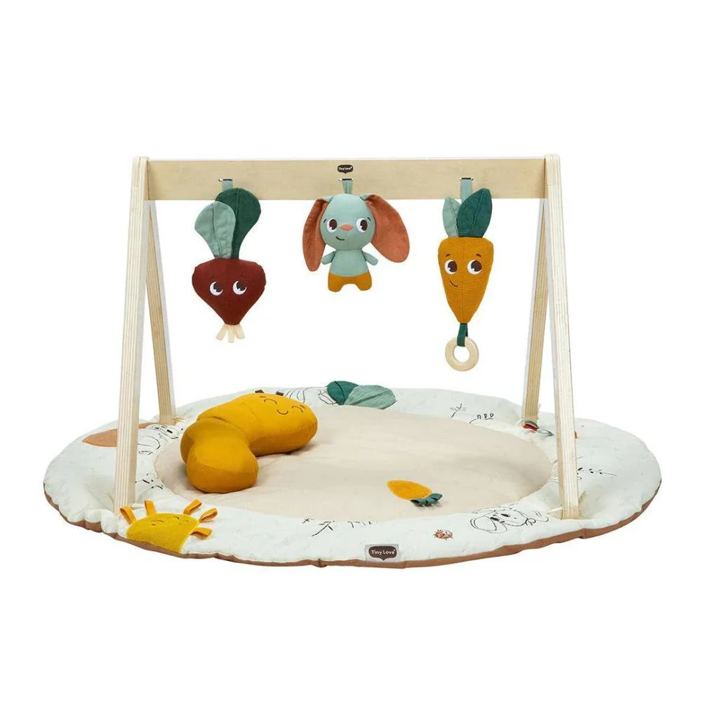 Ginásio Tinylove Luxe Gymini Garden of Adventures