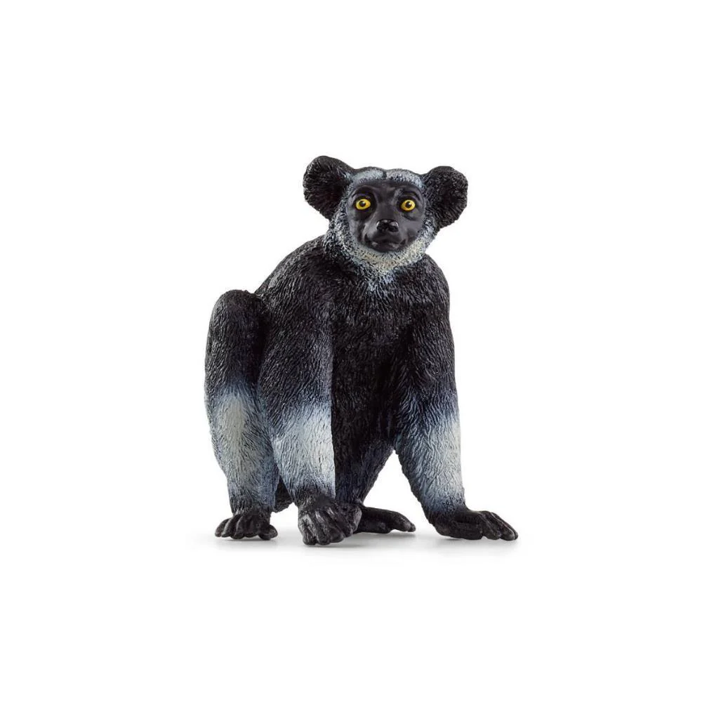 Lémur-Indri