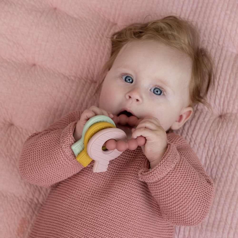 Mordedor Chaves Little Dutch Rosa - Image 3