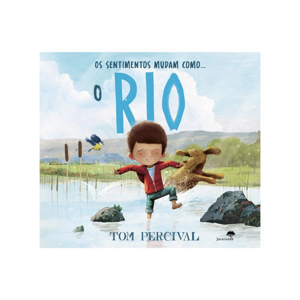 Livro Os Sentimentos Mudam como... o Rio