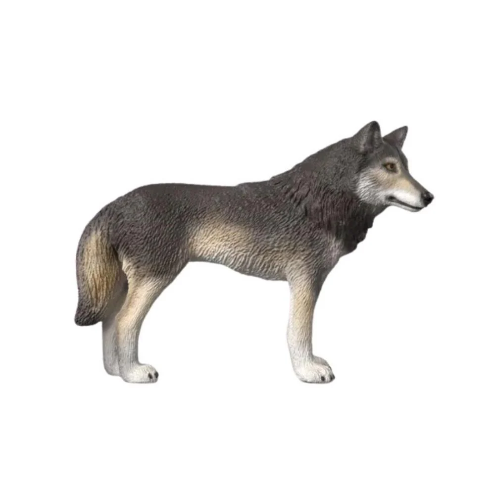 Lobo Americano - Image 2