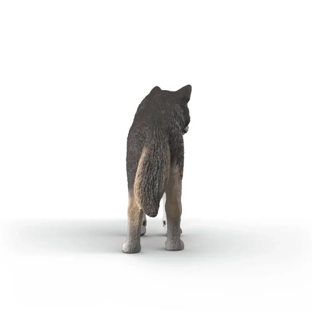 Lobo Americano - Image 3