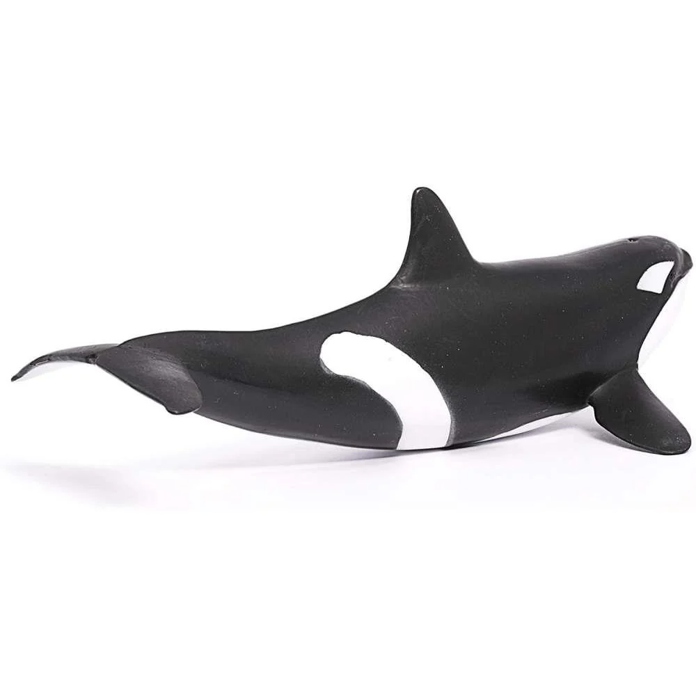 Orca - Image 3