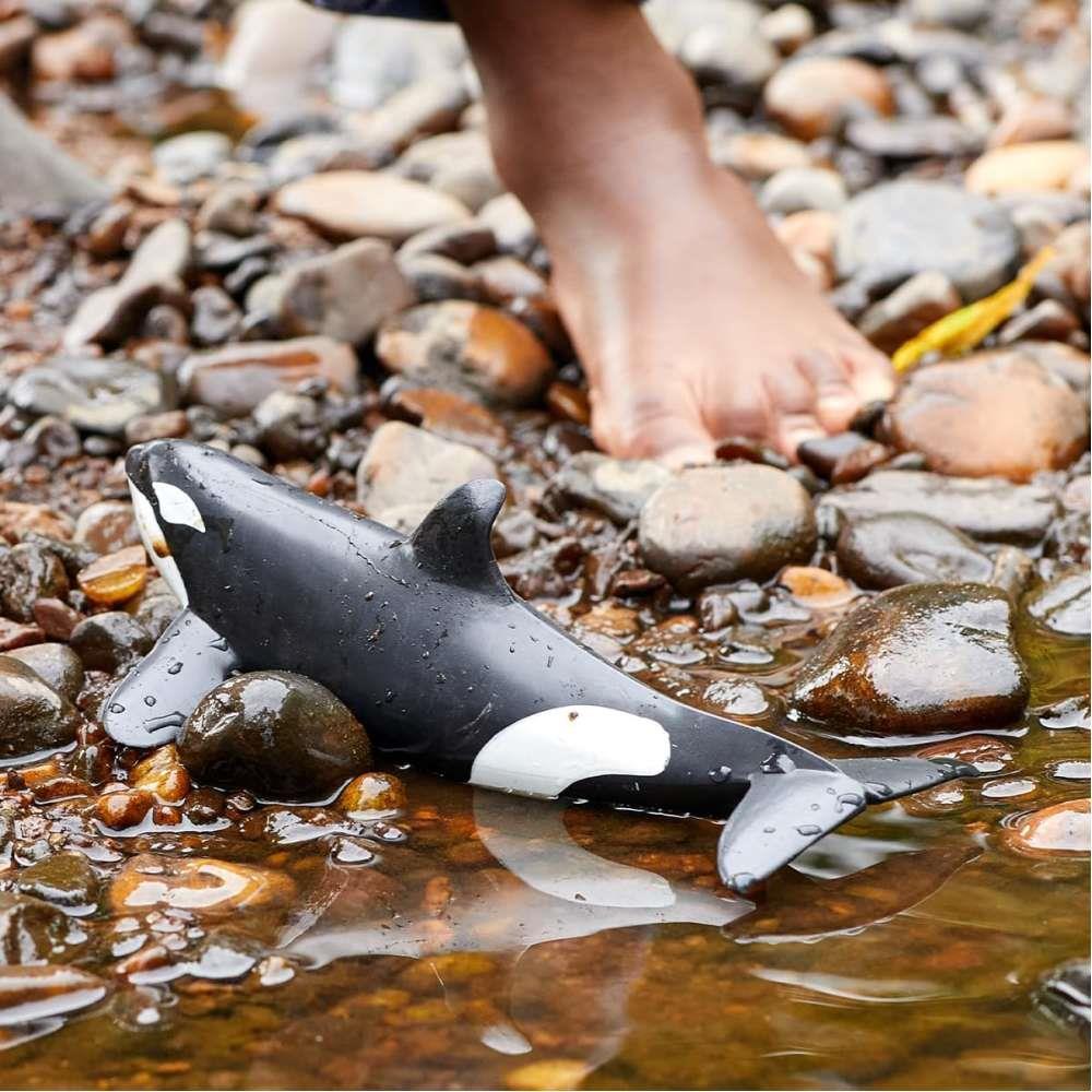 Orca - Image 4
