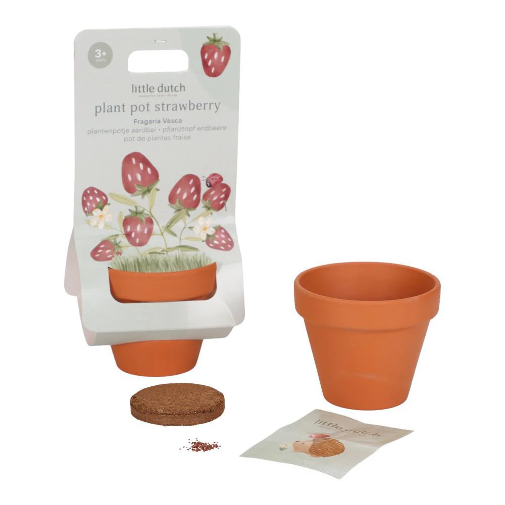 Vaso com Sementes Morango Little Dutch Forest Friend - Image 2